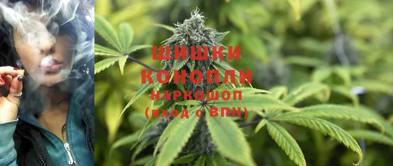 МЕГА зеркало  Жиздра  Марихуана SATIVA & INDICA 